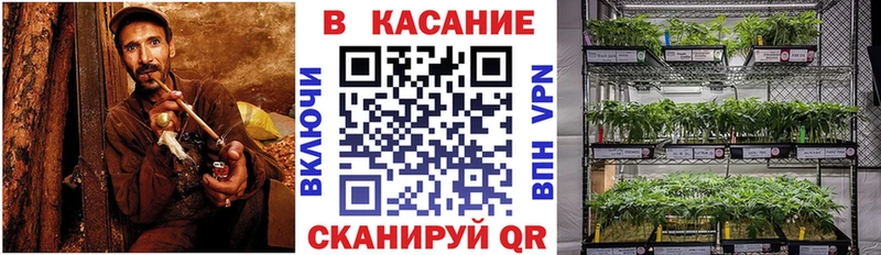 Виды наркотиков купить Светлый Амфетамин  Канабис  OMG рабочий сайт  Меф  ГАШ  Cocaine 