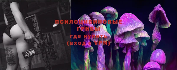 молекула духа Кирсанов